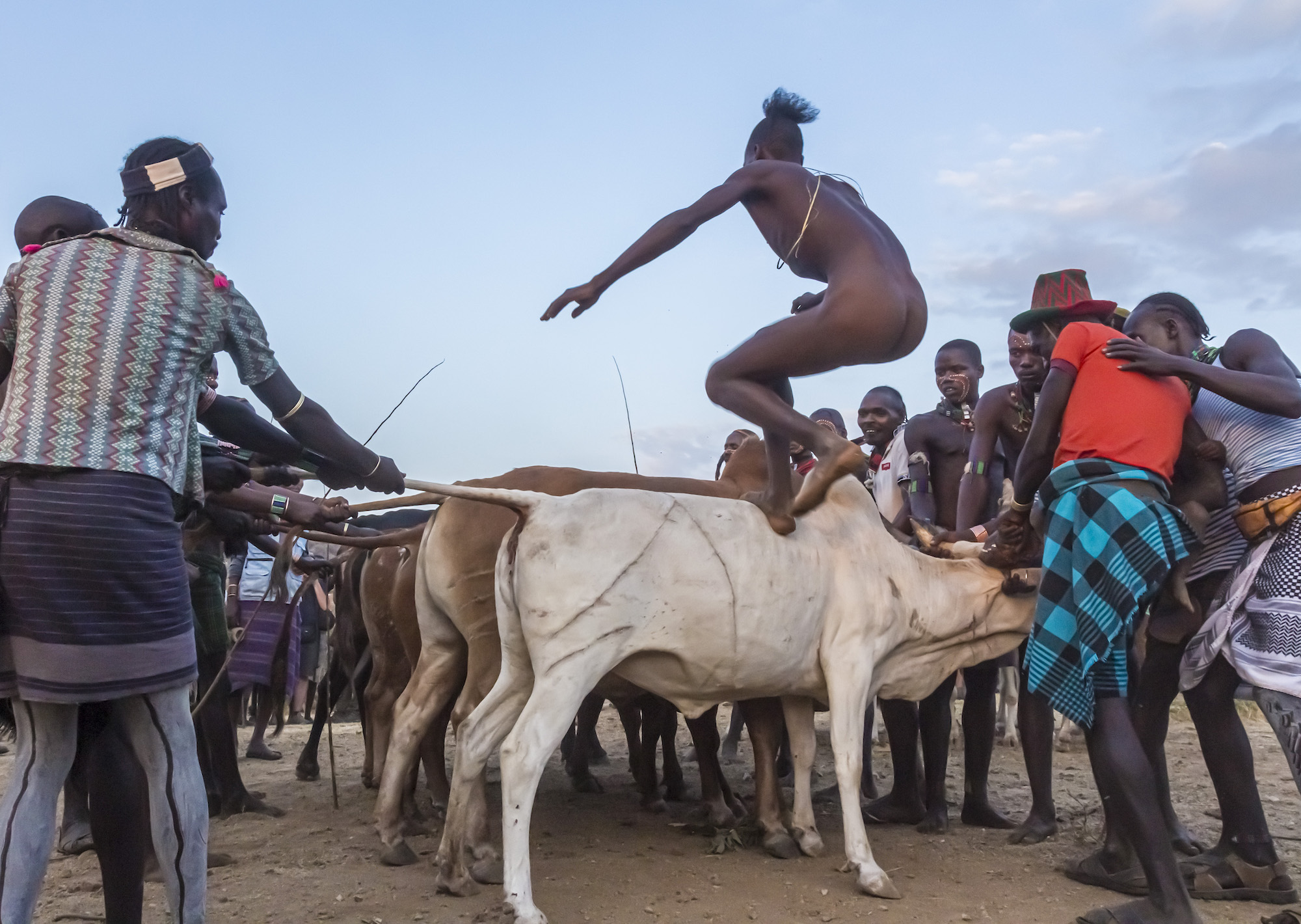 Bull Jumping by Laurie Bergner (Group 3)